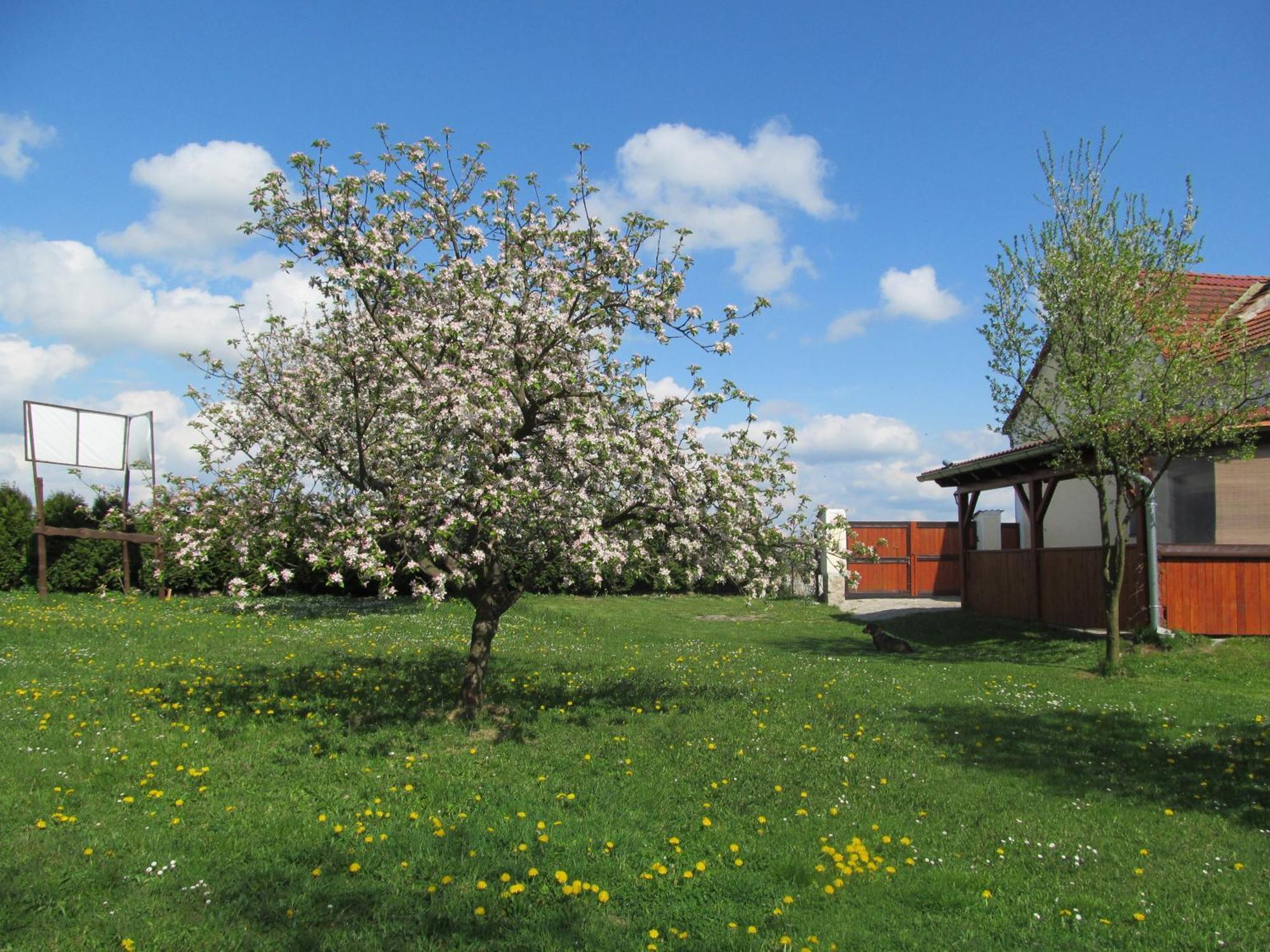 Pension Otevek Trhove Sviny Exterior photo