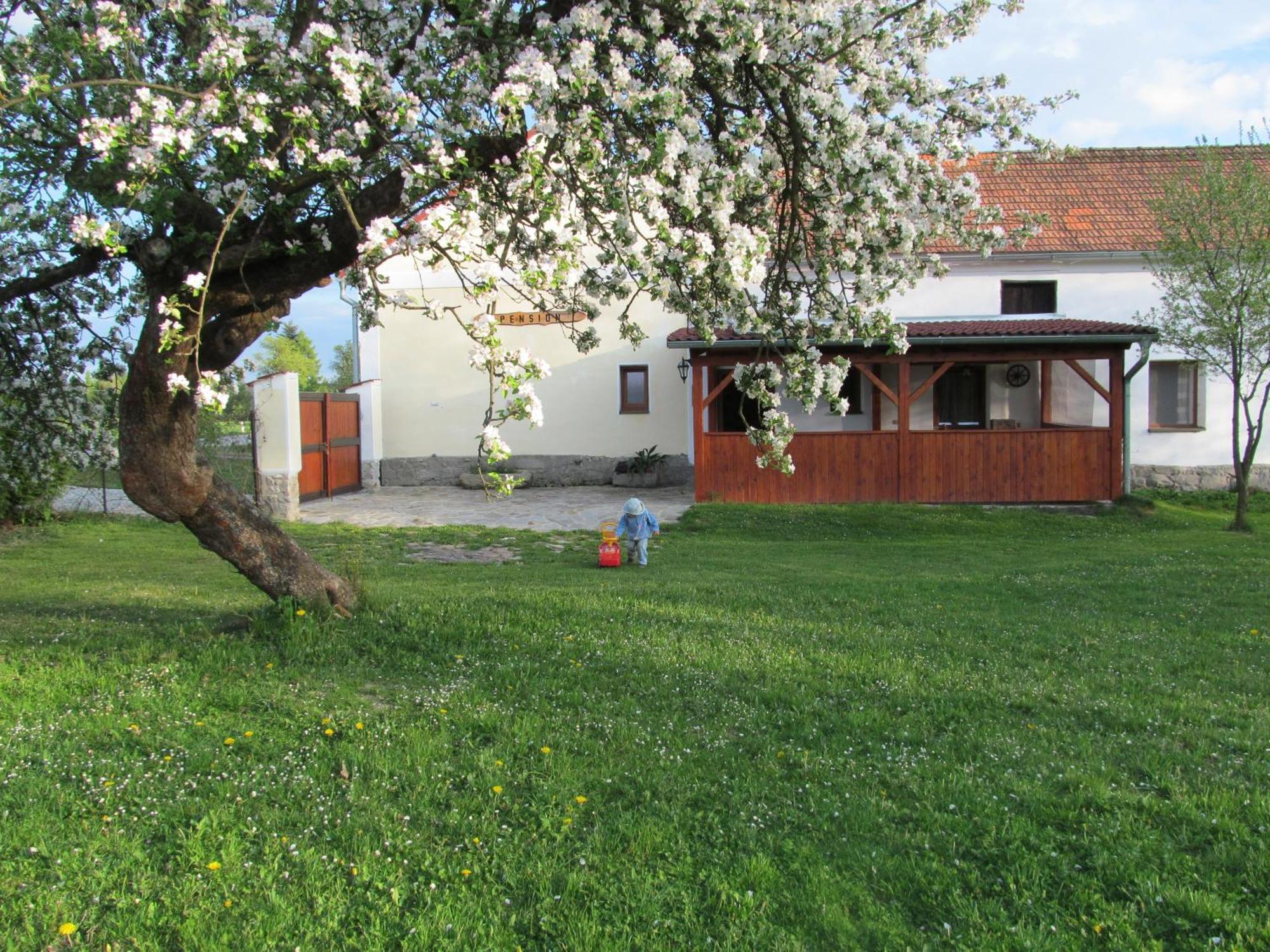Pension Otevek Trhove Sviny Exterior photo
