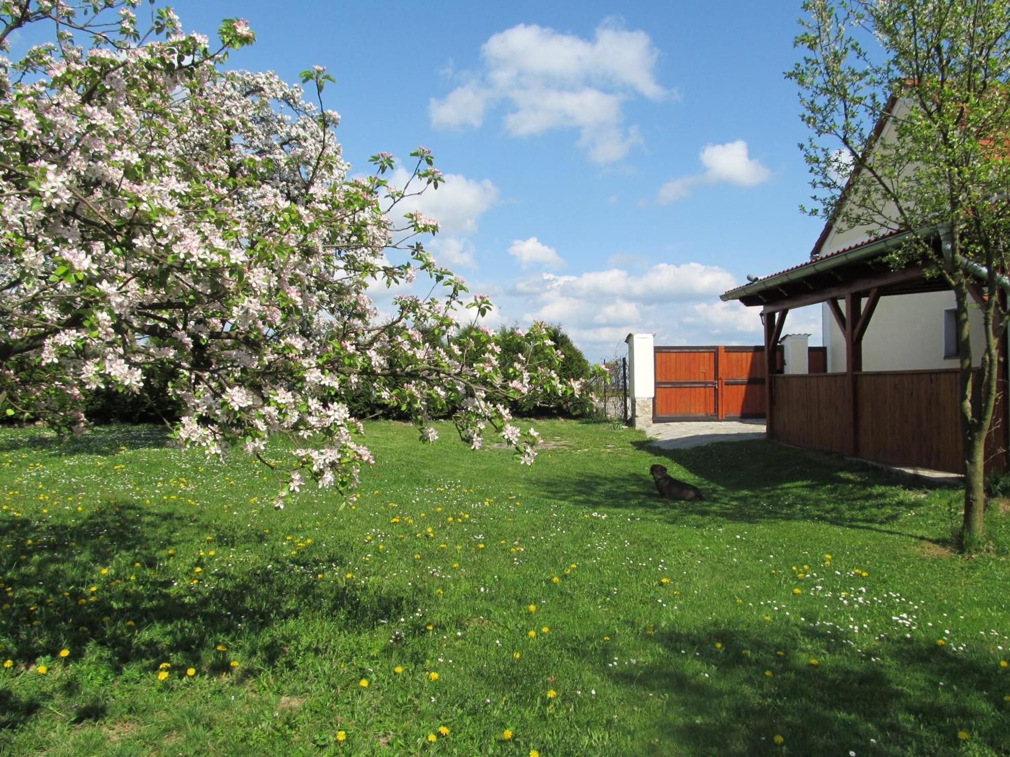 Pension Otevek Trhove Sviny Exterior photo