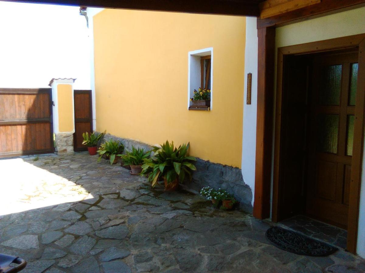 Pension Otevek Trhove Sviny Exterior photo